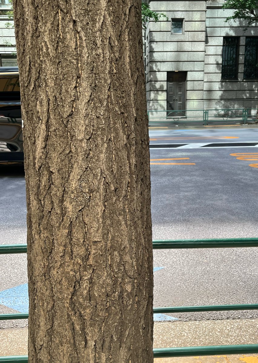 fanta_chao's tweet photo. リベンジしてみたけどチキって画角が🤣
この隙間からひょっこりのはず⁈
抜けるか問題でひょっこりチャレンジも出来ず🫣
場所ALTに載せてみたけど見えないみたい

#ラテマジック #八木勇征 #syudou https://t.co/gwv6CCmqQ7