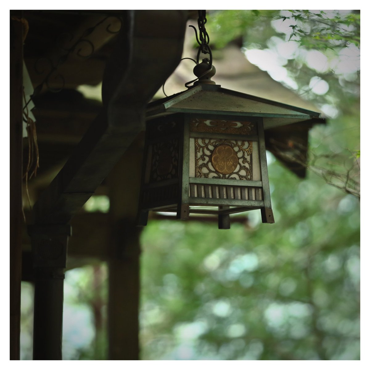 _bf_another's tweet photo. 傍らに幻のきみ https://t.co/N21260DvPs