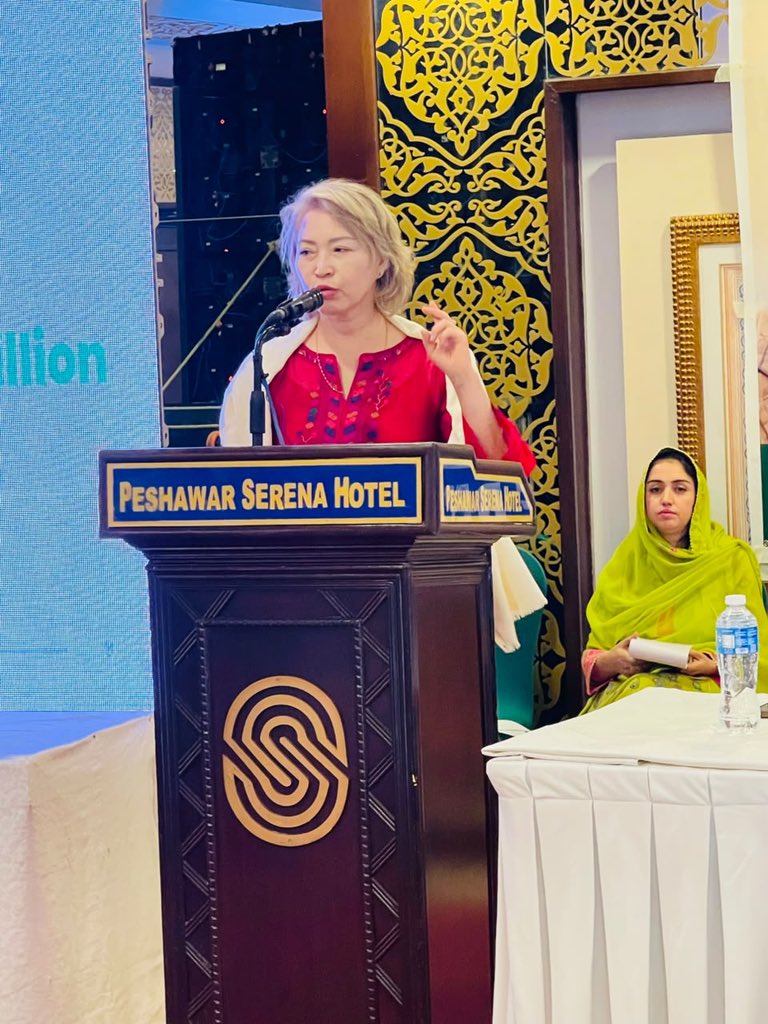 PWDDirectorate's tweet photo. On World Population Day 2026, we celebrated young people’s hopes and futures. With UNFPA and KP officials, we reaffirmed our commitment to youth empowerment and sustainable growth. https://t.co/dYOrl6uauE