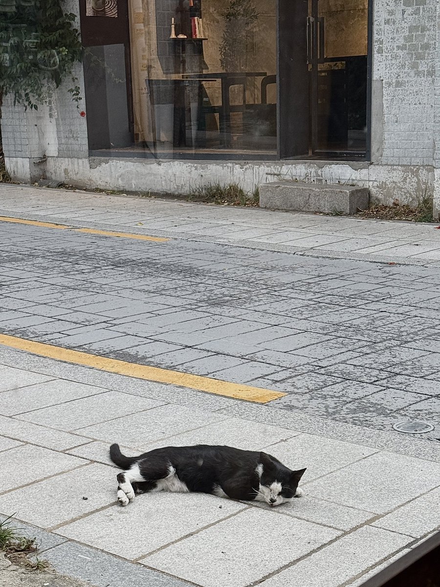 ee22ed's tweet photo. 안국 https://t.co/aiSvbR5oK9