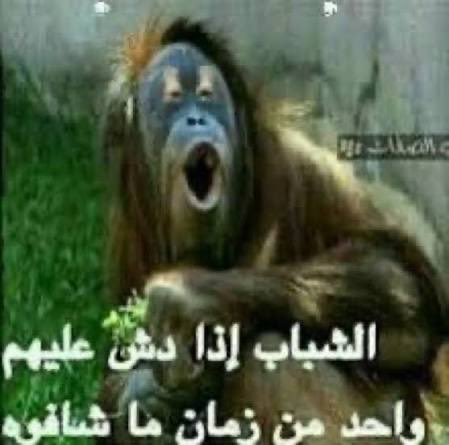 hinz_9's tweet photo. الشوووووق https://t.co/hiWaogZWls