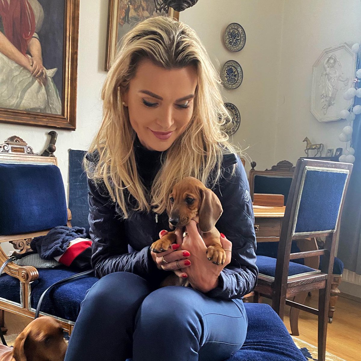 Katie_htaof's tweet photo. Your new therapist just showed up and she’s 5 inches tall with the saddest eyes in the game https://t.co/Ezf79fCWxG