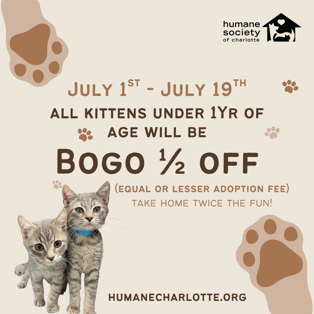 humanecharlotte's tweet photo. Thinking about adding a kitten to your life? Now is the perfect time! Through July 19, all kittens under 1yo will be BOGO 1/2 off the equal or lesser adoption fee!

View our cats: https://t.co/FleyoBSWKH https://t.co/3iWpkZZXnt