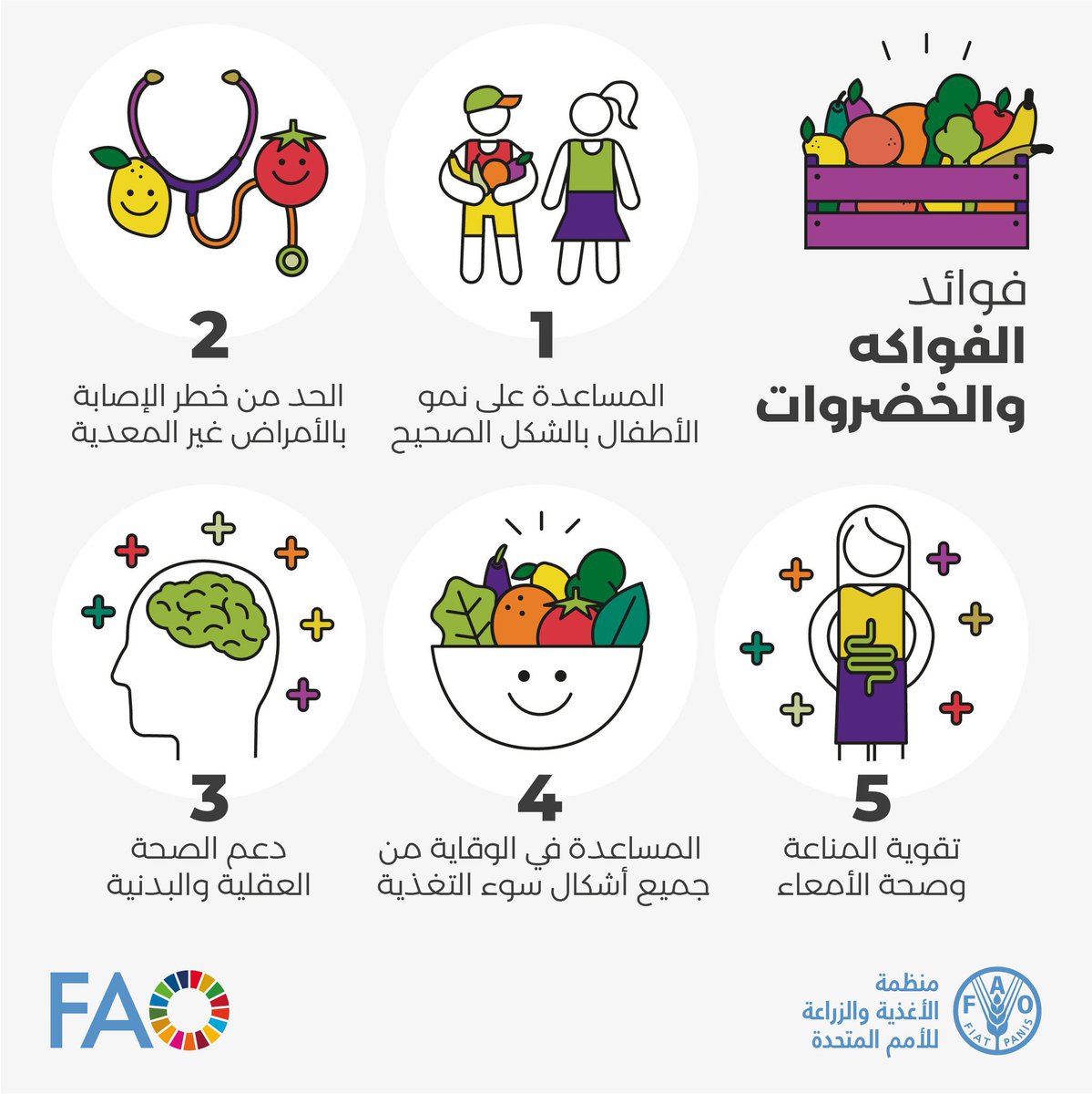 FAOarabic's tweet photo. 🍌🍉🍅🥬🫑
هل تعلم أنه يجب عليك محاولة تناول ما لا يقل عن 5️⃣ حصص أو 400 جرام من الفواكه والخضروات يوميًا؟

فيما يلي 5️⃣ أسباب تجعل الفواكه والخضروات ضرورية لصحتنا!

#الحق_في_الغذاء https://t.co/qjINQWipoG
