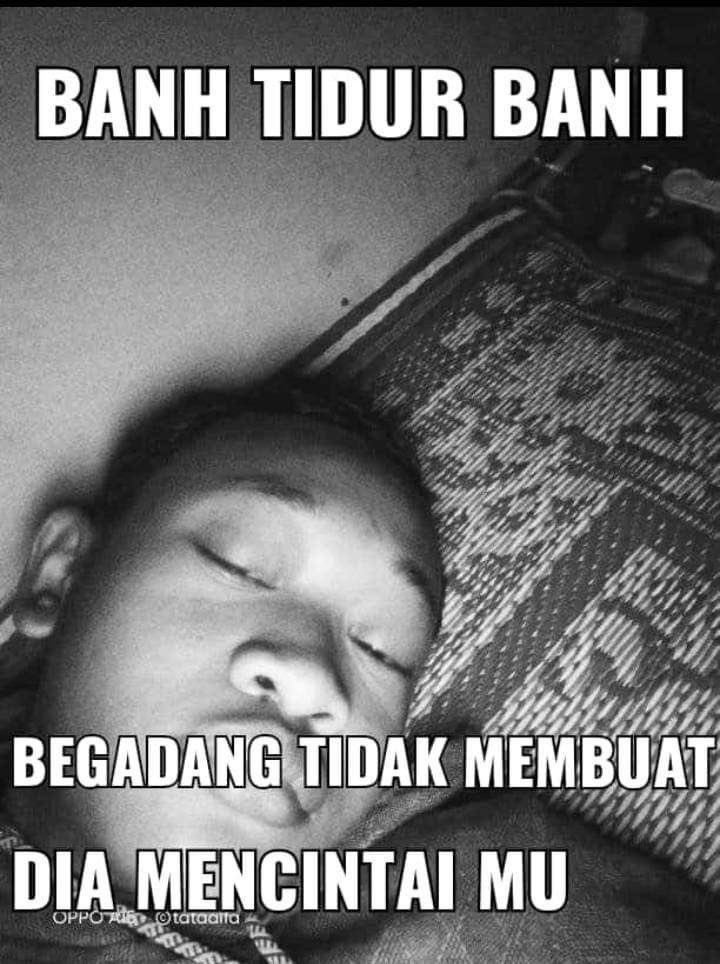 ara tweet media