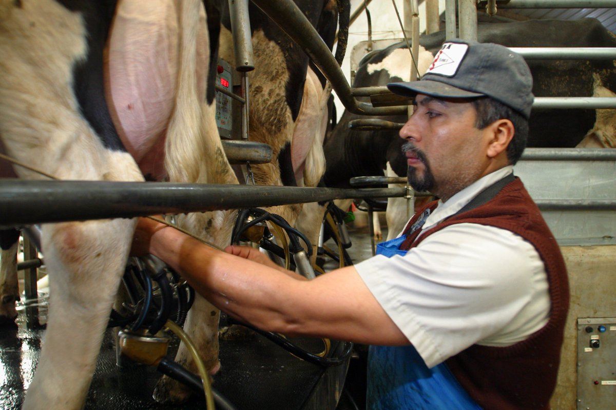 azfb's tweet photo. National Dairy Month (June) is over. But the work continues on our Arizona Dairies! https://t.co/x3ChM7PX7L