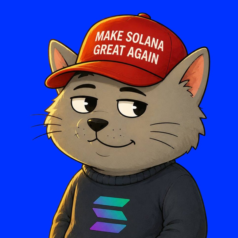 MAKE SOLANA GREAT AGAIN tweet media
