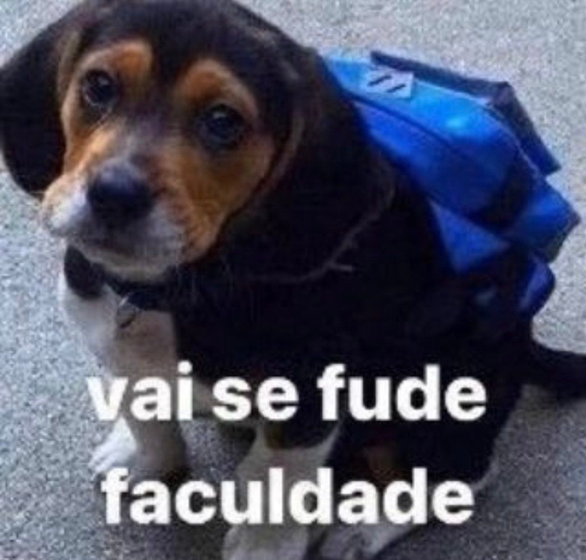 Melhoreeeee's tweet photo. Melhoreee, amigo 💪 https://t.co/M0vaW3nNjV