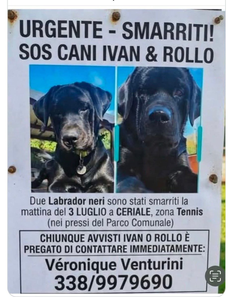 Claudiabrici's tweet photo. https://t.co/LZVNNVPZEh