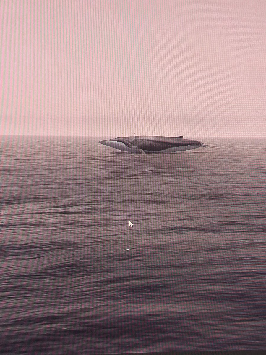 MorsExMare's tweet photo. >playing Sea Power
>Radar identifies surface radar contact, verifies as hostile warship
>USS California (CGN-36) auto yeets a Harpoon at it
the radar contact in question: https://t.co/uRPoLgFLLA