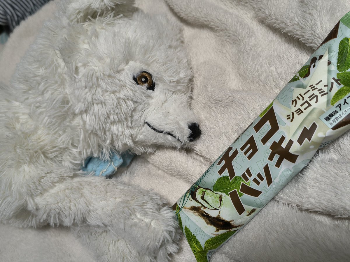 チョコミントニャ Post by 🏝もかちーの🦊日曜日 東チ57a on X: チョコミント