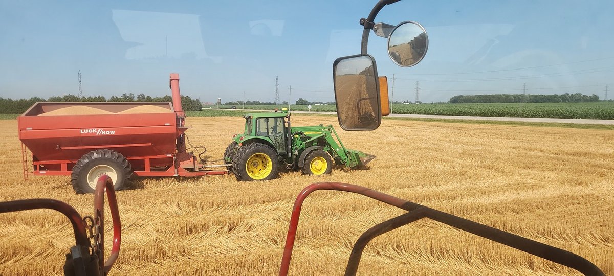 Woody Van Arkel 2.0 🧢🐛🐖🌽🌻🪱🍁 tweet media