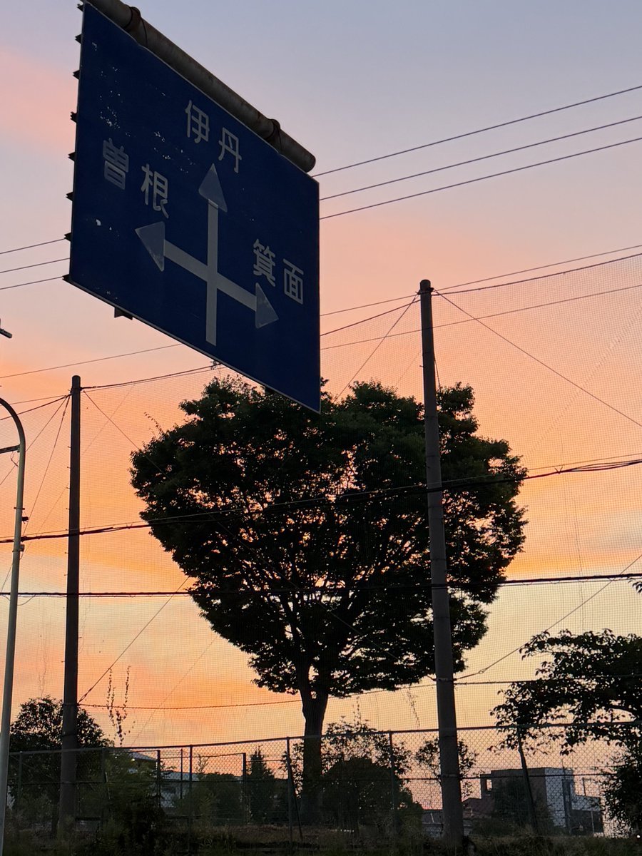 しまっち (@shimatch) / Posts / X