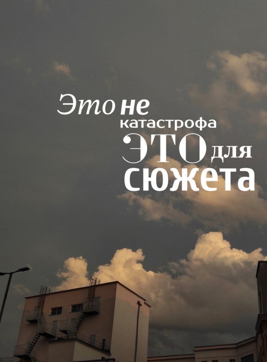таша tweet media