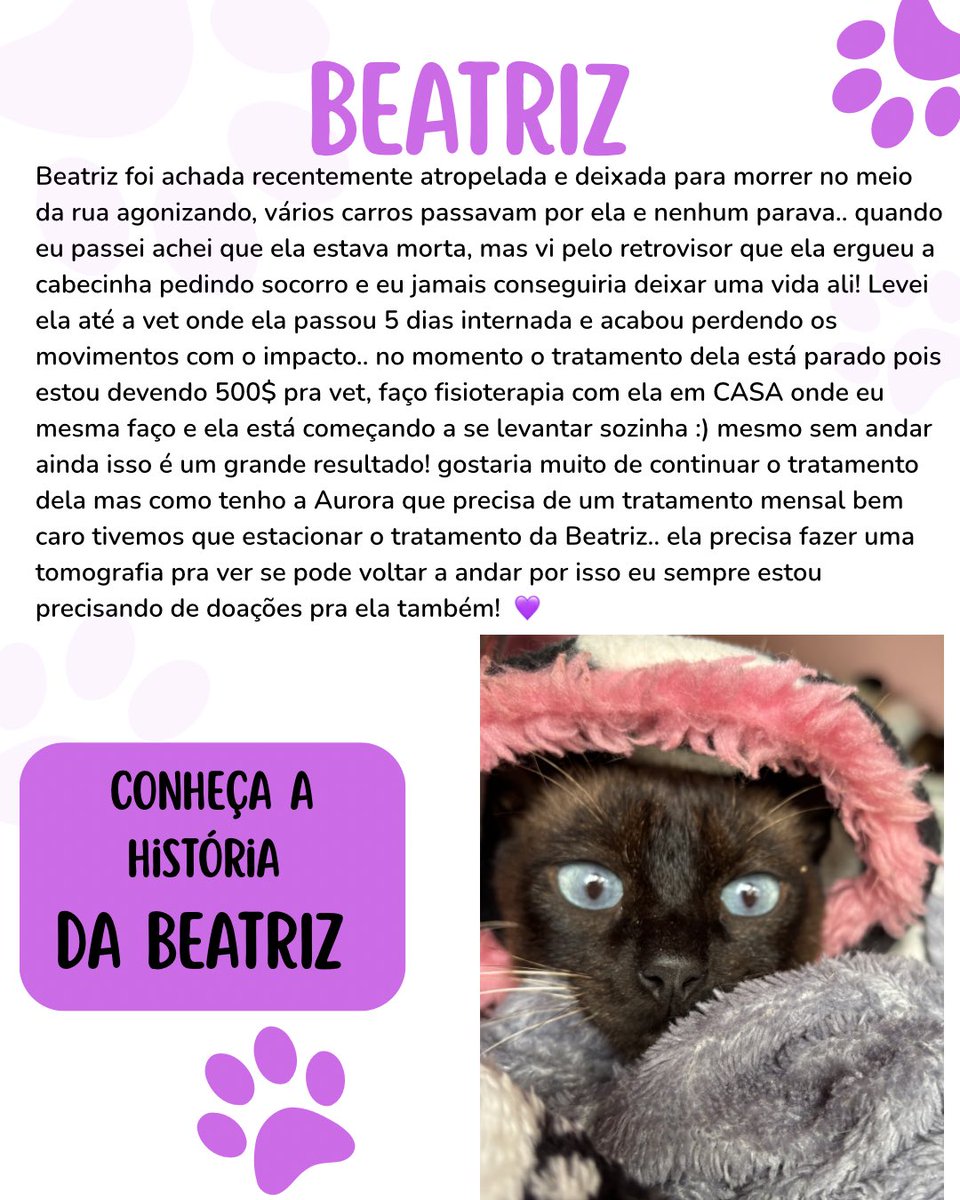 sonzapetsch's tweet photo. titios pra quem não conhece a história das meninas deixei um pequeno resumo aqui em baixo 👇🏻💖 (lembrando que todo valor arrecadado vai SOMENTE para elas conforme comprovantes postados no perfil) 🥰

🔑 : auroracalvinha@gmail.com https://t.co/4CVDyL8u2y