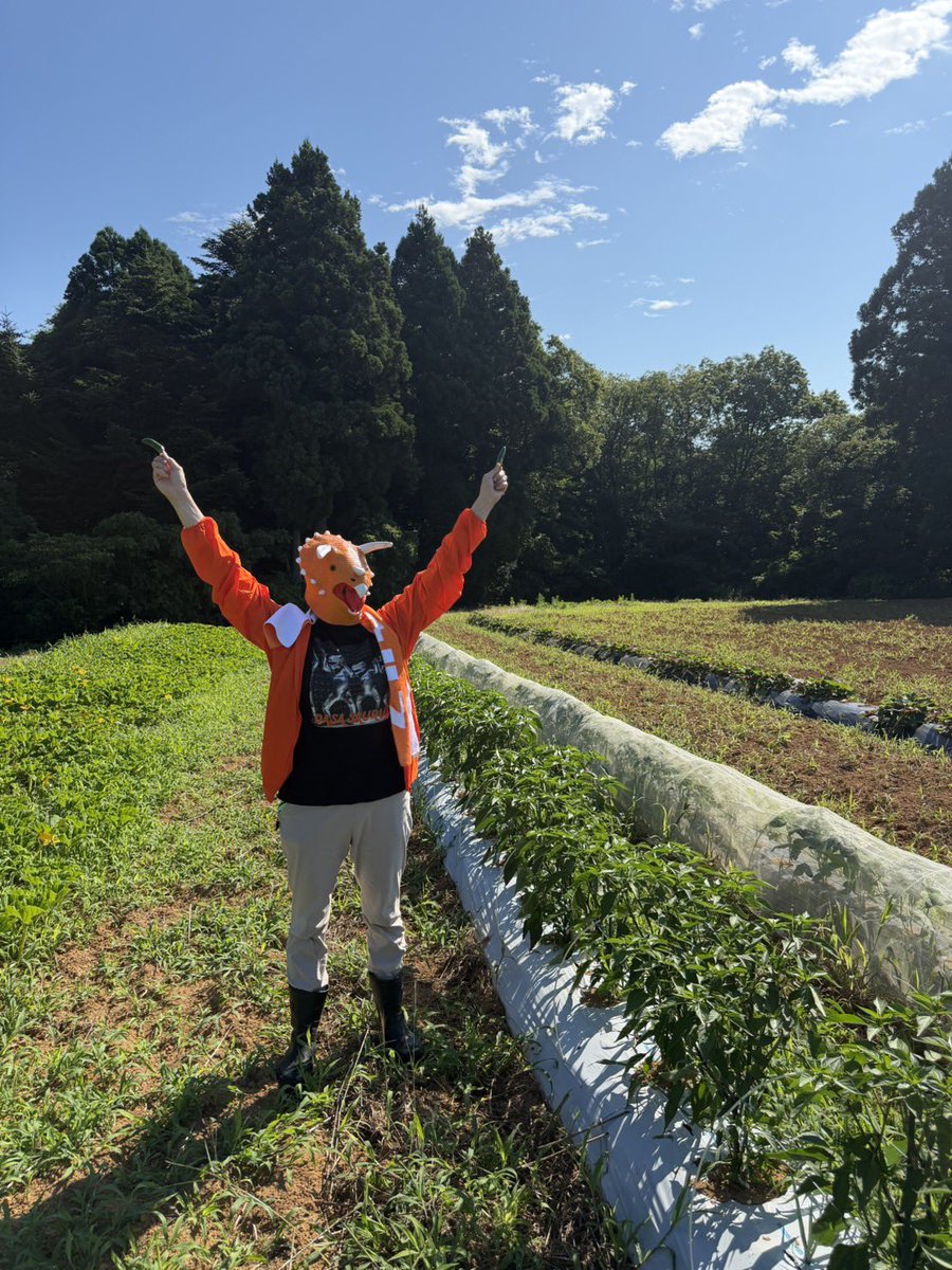 ここ📣🦖ダサザウルス🍊 tweet media