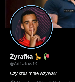 rexezo2's tweet photo. @Adiszlaw10 @PFC_Polska @Dragon17589 https://t.co/G7wZwKyzOK