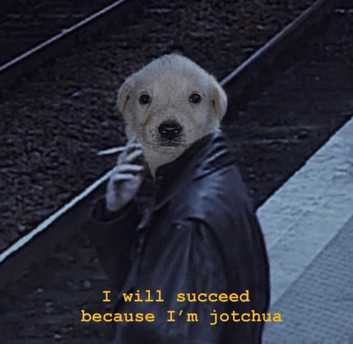 Jotchua tweet media
