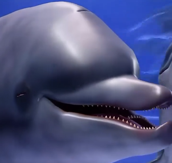 PiZLe_ (Puddle Shark) tweet media