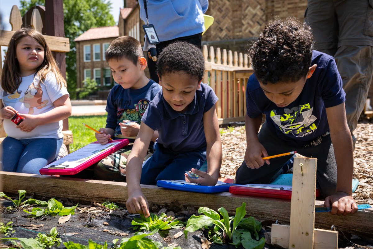 UCitySchools's tweet photo. 🌱 Jackson Park first graders became real scientists alongside WashU's Dr. Rachel Penczykowski, associate professor of biology and U. City parent, and Dr. Monique Hite-Patterson! Thank you, @WashU! Read more: https://t.co/gBFsWrzvE4 📸: Carol Green @UCSharonica https://t.co/GL8plJSbpW