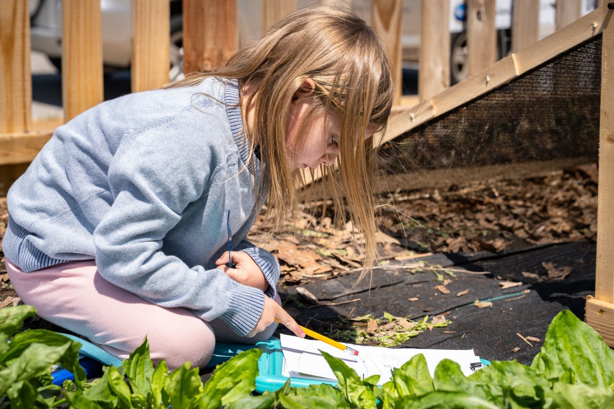 UCitySchools's tweet photo. 🌱 Jackson Park first graders became real scientists alongside WashU's Dr. Rachel Penczykowski, associate professor of biology and U. City parent, and Dr. Monique Hite-Patterson! Thank you, @WashU! Read more: https://t.co/gBFsWrzvE4 📸: Carol Green @UCSharonica https://t.co/GL8plJSbpW