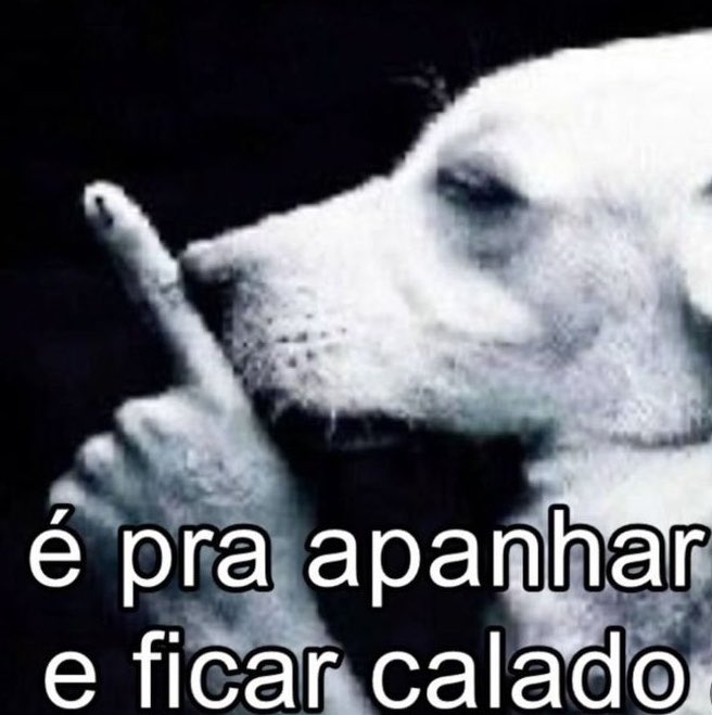 haalandepressao's tweet photo. YAMAL DAQUI A POUCO NO IG

KKKKKKKKKKKKKKKKKKKKKKKKKKKKKKKKKKKKKKKKKKKKKKKKKKKKKKKKKKKKKKKKKKKKKKKK

#FRAxESP https://t.co/ZmqXgR4PN5