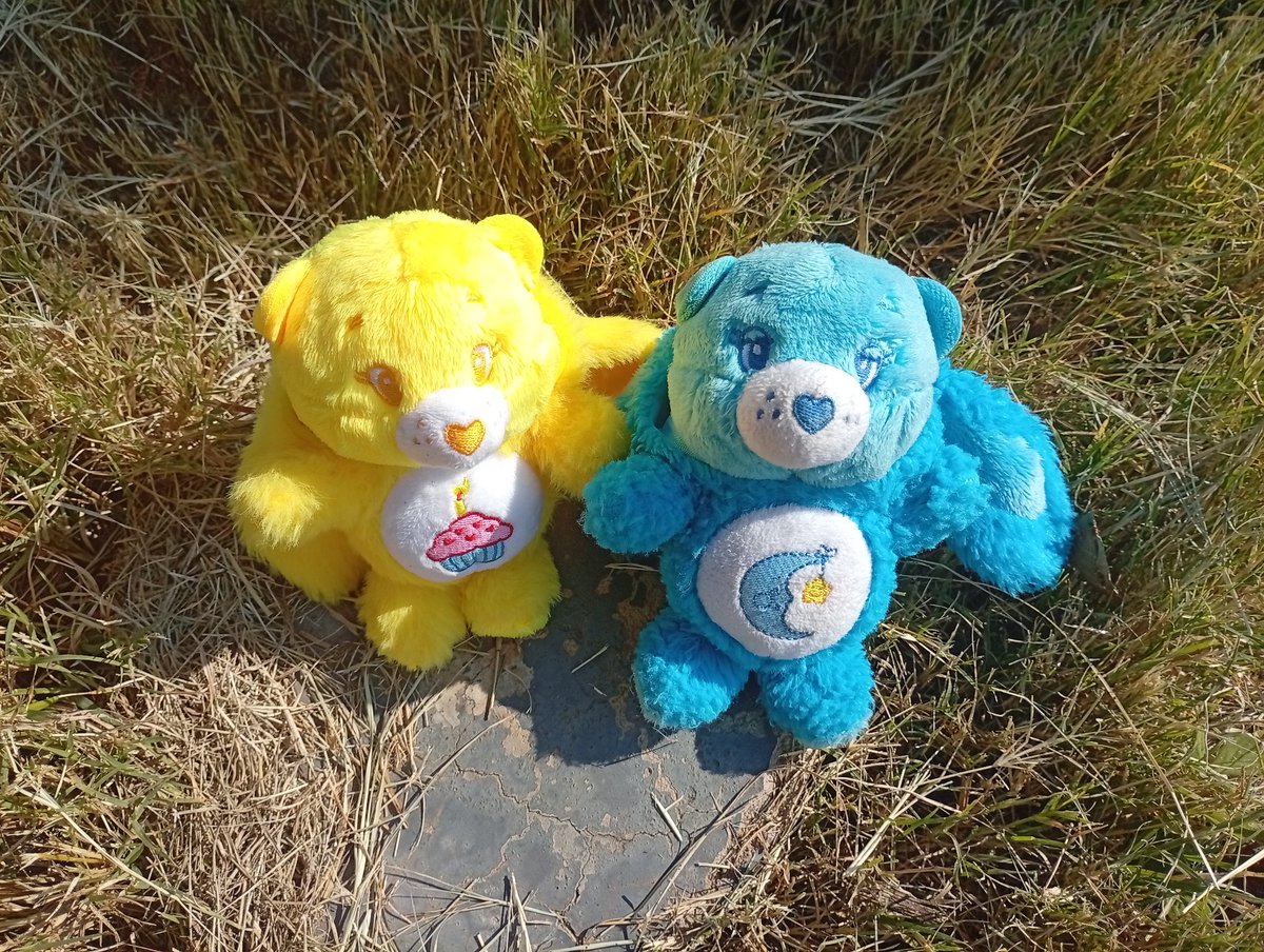 PGothicorn's tweet photo. We went out on a walk and went site seeing 
#Nuikatsu #plushies https://t.co/A2RbQmGAQS