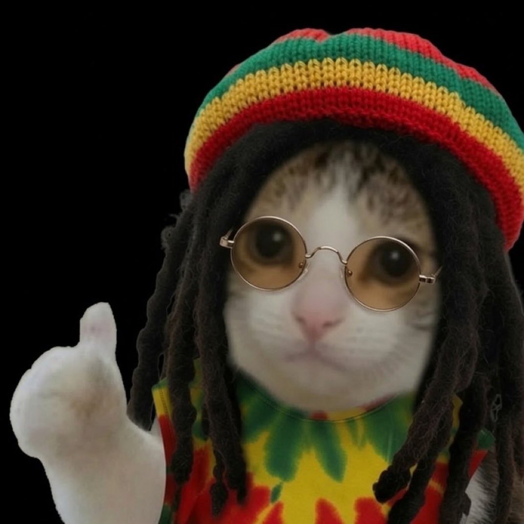 MemeBeacon's tweet photo. every little ting is gonna be ok $ok https://t.co/bWdwTe4stz