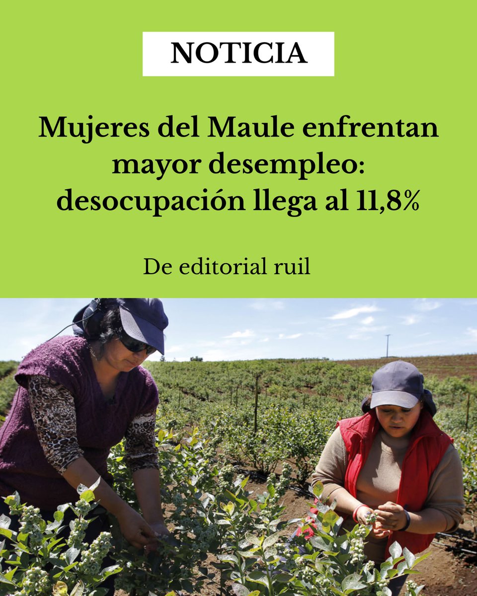 Ruil_cl's tweet photo. Mujeres del Maule enfrentan mayor desempleo: desocupación llega al 11,8%. #Maule #desempleo https://t.co/fPZBdVqSrG