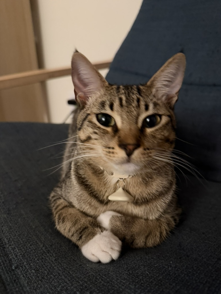 Leo - 15 y/o founder tweet media