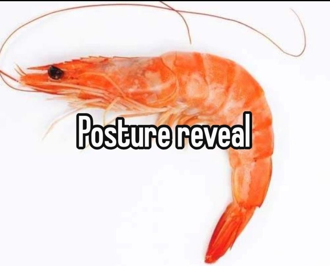 mwpspr's tweet photo. I spent so much time on it and she still looks like a shrimp
#indiegame #gamedev #indiegamedev https://t.co/UzCJ8sG55n