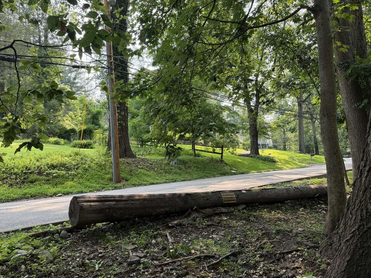 BFCahill's tweet photo. Hey @PECOconnect it’s been 191 days since you replaced the utility pole across the street from my house in Bryn Mawr and left the old one in my front yard. Five calls to your office, five detailed conversations and still no update on a pick up date.  What’s the plan here? https://t.co/rIM7GGFZJf