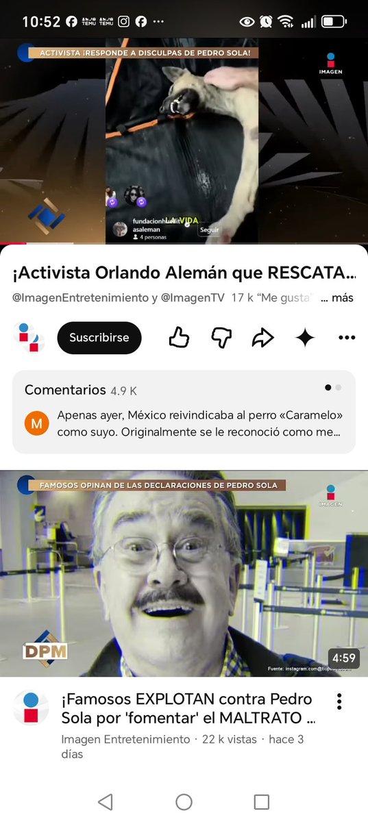 nawl49's tweet photo. @VentaneandoUno Esto es lo que quiere este programa incitar a las personas a matar a los perros y darle un balazo en la cabeza a los dueños co. O es posible que permitan que mande este mensaje a las personas https://t.co/dxzeG0zT65