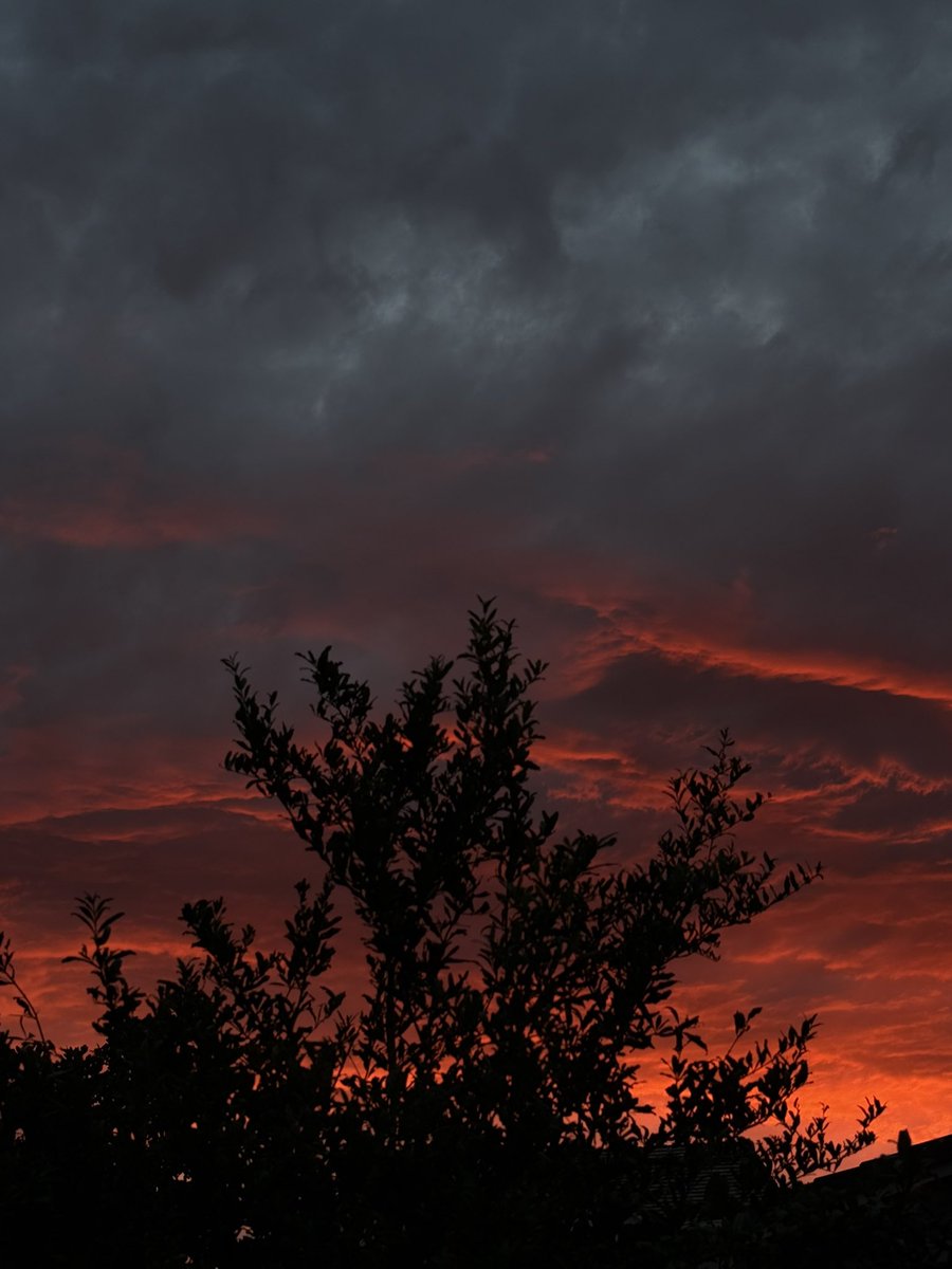 Smitadeep1's tweet photo. Spectacular California #sunset https://t.co/n9Q8egegkk