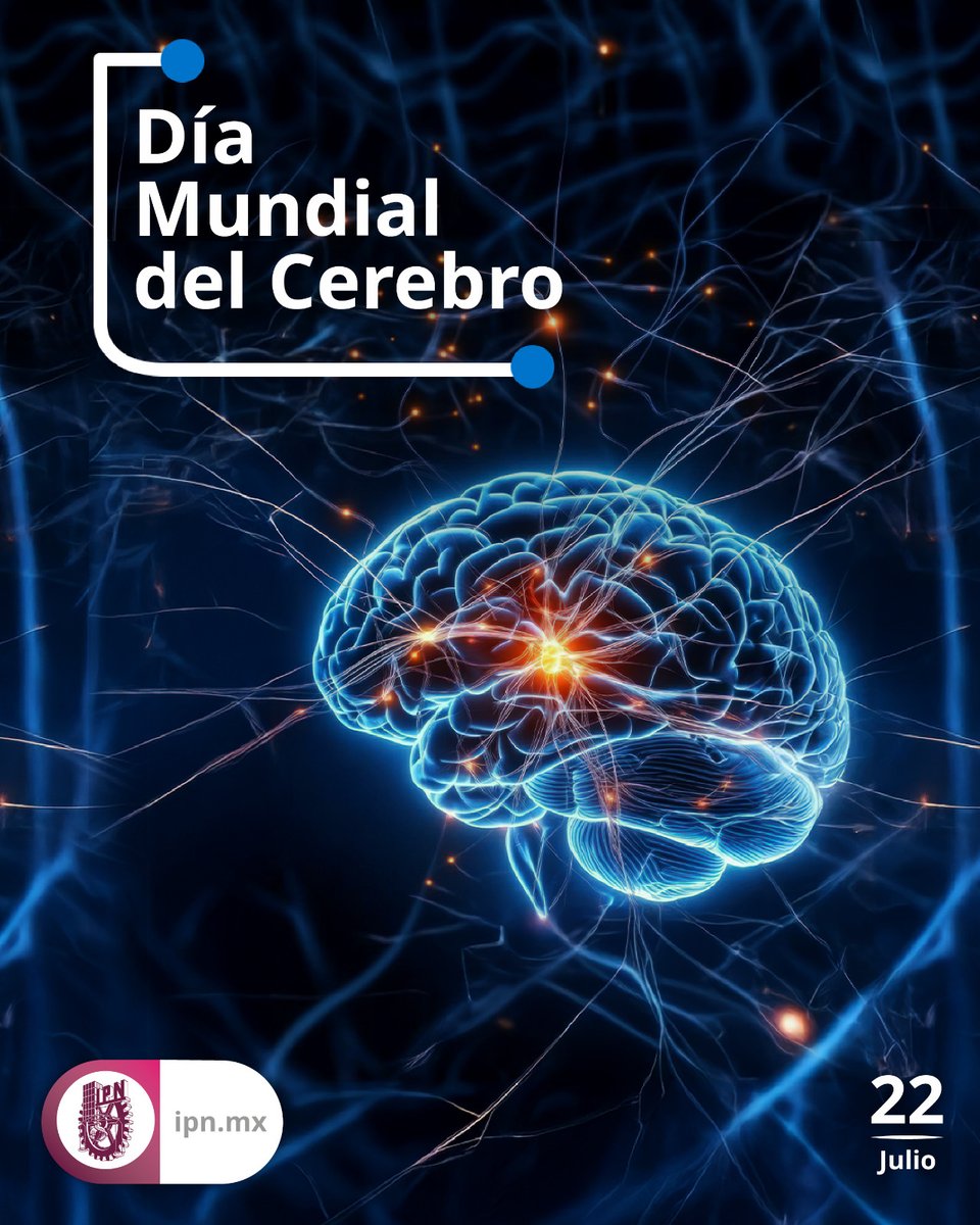 IPN_MX's tweet photo. 🧠✨ En el IPN impulsamos el conocimiento y la investigación para comprender mejor al cerebro y sus funciones, y así contribuir al bienestar de la sociedad. Porque una mente sana es el motor que transforma ideas en soluciones para México. 💡
#DíaMundialDelCerebro https://t.co/kKR4SxuPhB