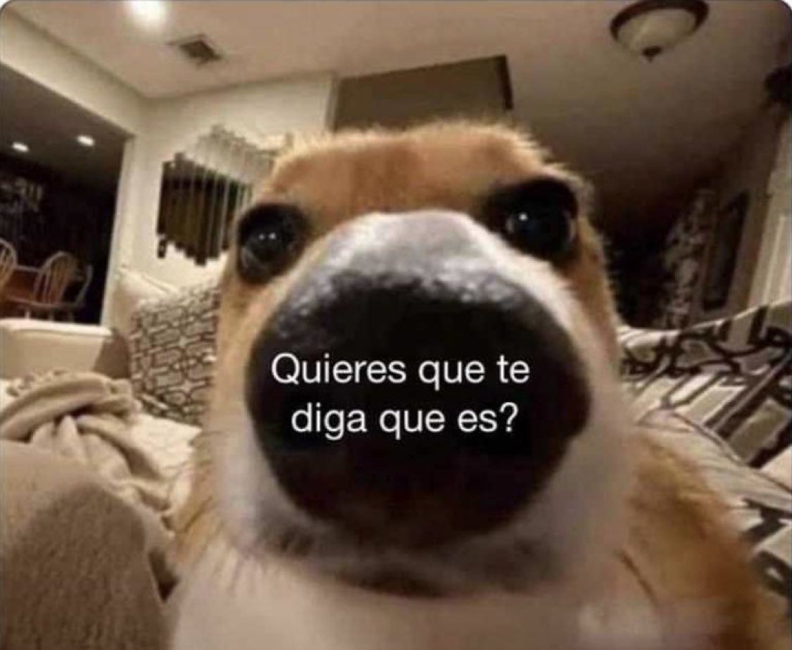 itextosoff's tweet photo. *Le compro un regalo a alguien* 

Yo a los 5 min https://t.co/0NVL7eGOP9