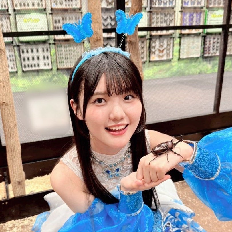 nelcovic's tweet photo. #ConChu #大昆虫展
得心の水曜日になりますように。
#相馬優芽 #長野桃羽 #杉原明紗 #西村乙輝 https://t.co/ZPqBNjNBPJ