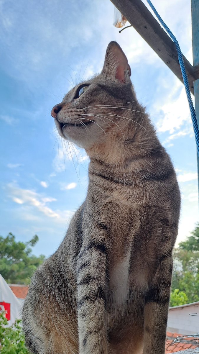 Luthfirhps's tweet photo. udh lama ga sepatah hati ini lagii, udah ngerasa siap tapi kalau 2 2 nya gak tau🥺😭 https://t.co/3EzI68y4Ve