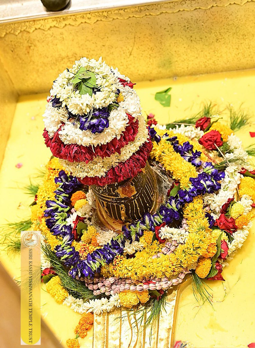 ShriVishwanath's tweet photo. श्री काशी विश्वनाथ जी की सप्तऋषि आरती I
#kashivishwanath #kashi #hindu #sanatandharmaहमारे https://t.co/z8ONlpB3nD