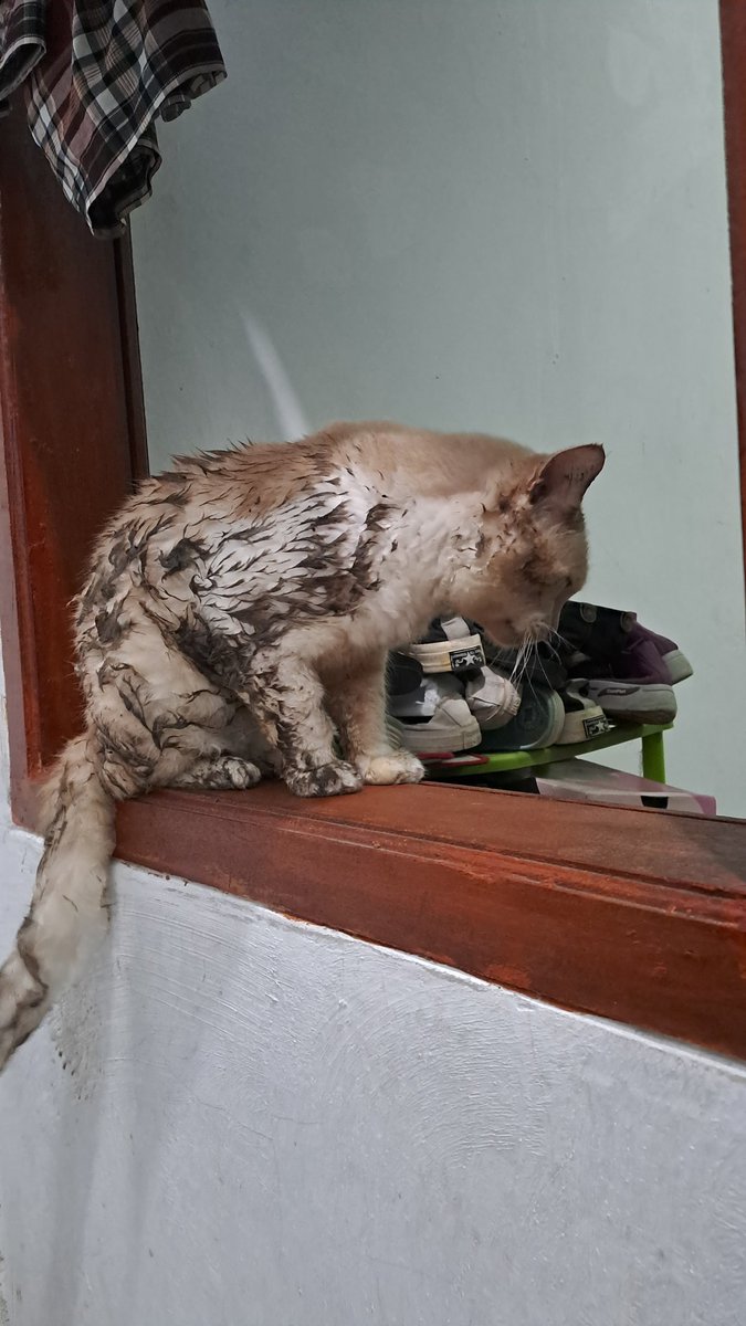 Luthfirhps's tweet photo. nakal boleh, spraying boleh, tapi kalo sakit jangann https://t.co/lWtoClDsYv
