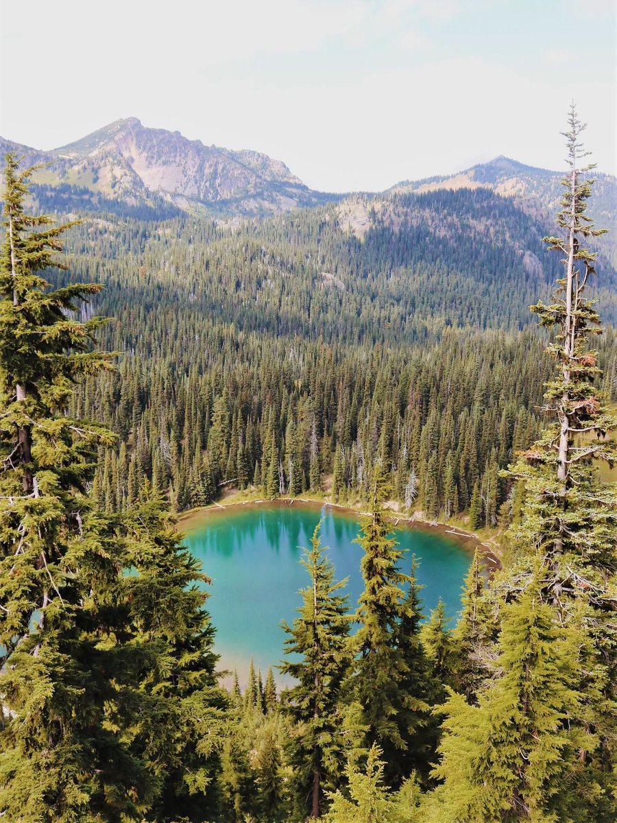 DNatives67667's tweet photo. Mount Rainier National Park,Washington-USA🇺🇸 https://t.co/PJPsYOvLPm