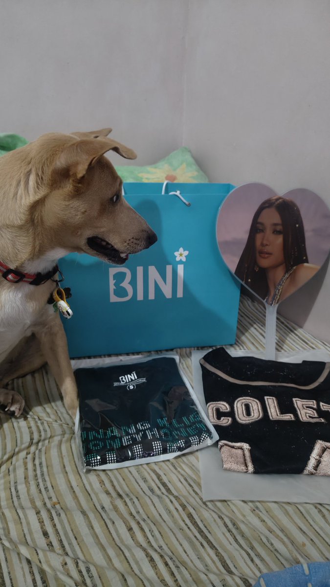 w1693's tweet photo. Huy! Maka titig ka naman kay master ! Hindi mo sasakmalin yan nak 😂😆 mahal naten yan 🫠🌸 @bini_jhoanna 

#bini #binijhoanna https://t.co/pFVlRRb2CC