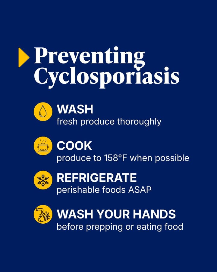 UR_Med's tweet photo. If Cyclospora has been popping up in your feed lately, here's what you should know. 

From washing fresh produce to recognizing the symptoms, infectious disease expert Ghinwa Dumyati, MD, shares simple ways to help protect yourself. https://t.co/JR5xY5aUPG