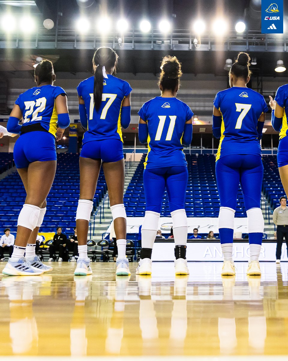 Delaware Volleyball tweet media