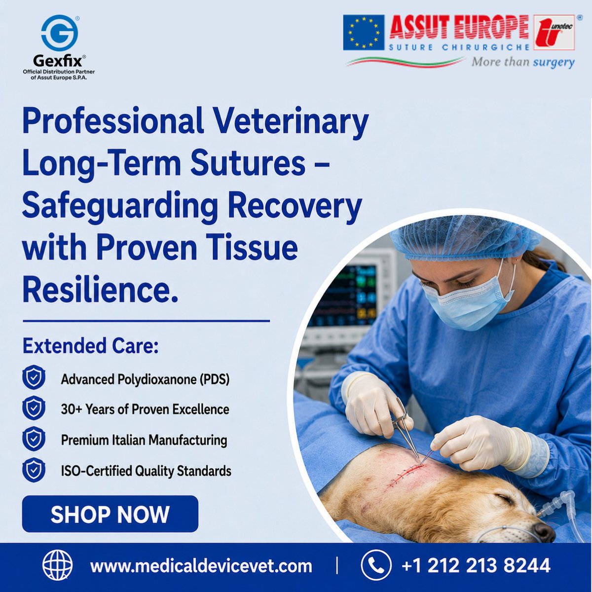 Gexfix_Assut's tweet photo. Our professional PDS veterinary sutures safeguard pet recovery with proven tissue resilience. Advanced polydioxanone technology, premium Italian manufacturing, ISO-certified quality, 30+ years of excellence. https://t.co/30XDowj59h https://t.co/znZzKDThCY
