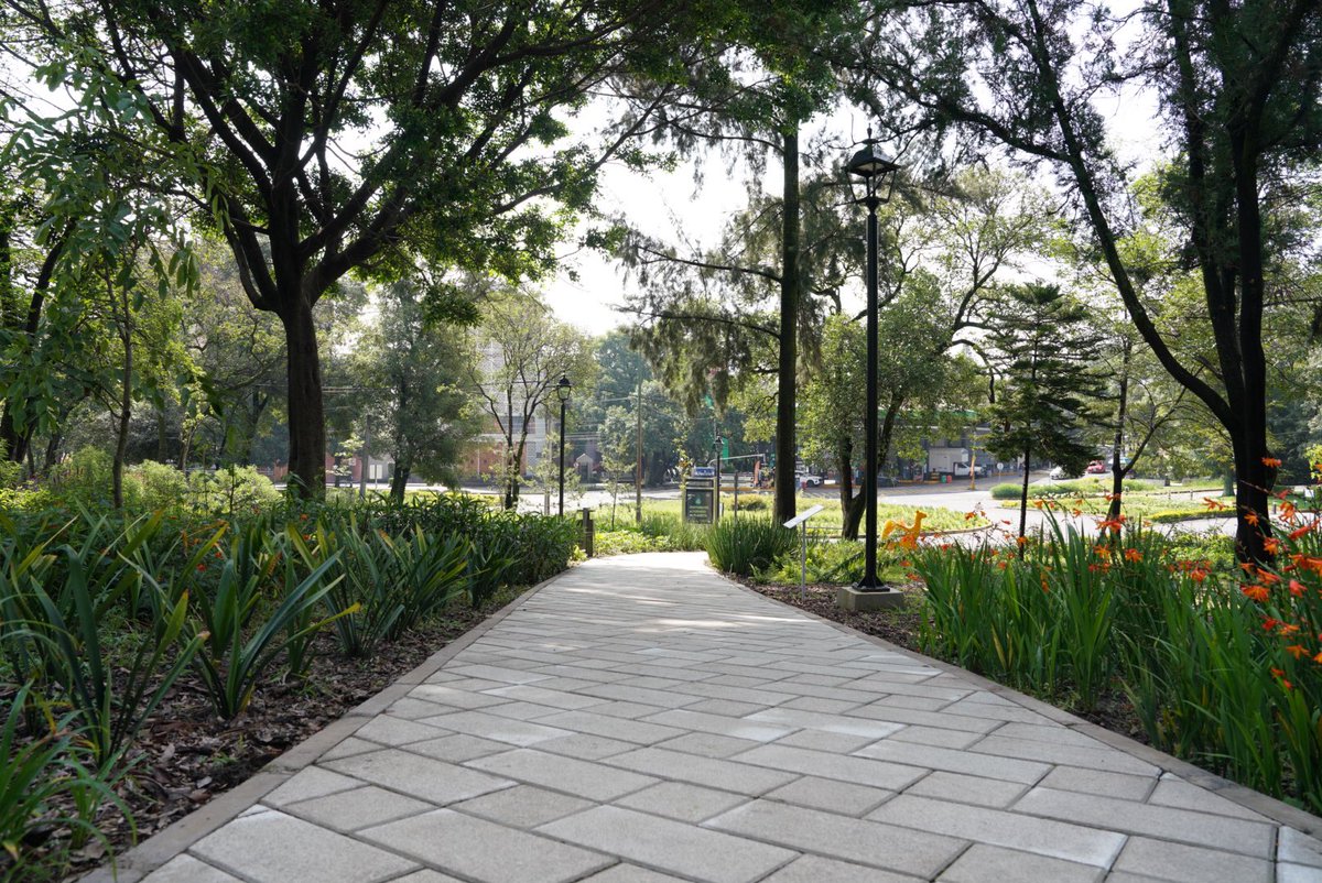 OlaMHmx's tweet photo. ¡Conoce el renovado Parque Jaime Torres Bodet! 🥳🌳👌

El alcalde @mauriciotabe junto a los vecinos supervisó las obras de rehabilitación que se hicieron con recursos de mitigación, porque como siempre, en #MH las cosas se hacen y se hacen bien. 🤜🏻🤛🏻 https://t.co/M30CKlT1RE