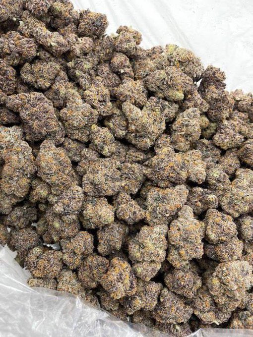 cosmic_kushhh's tweet photo. Bubblegum Berriez🇮🇹
ORDER ON TELE :https://t.co/epelasrMGS 📦📦
NEED SOMETHING ELSE?
SHOP ON MY DISCORD 🏪
https://t.co/2W11ShMF5z
$1075/LB
$550/HP
$300/QP
$100/Oz
#atl #atlplug #atlza #atlanta #decatur #zaza #redan #eastsideatl #buckhead #westsideat #midtownatl
#lithonia #down https://t.co/LqYmlkwJO8