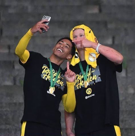 haalingham fans tweet media
