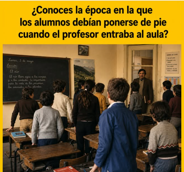 Ana Piccinini tweet media
