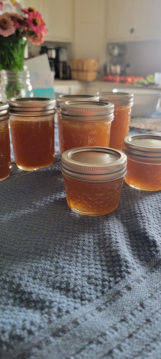 West09Chet's tweet photo. My wife's the best! 
Homemade peach habanero pepper jelly. 
Peaches from our tree, peppers from our garden. https://t.co/jc4sTDEnbd